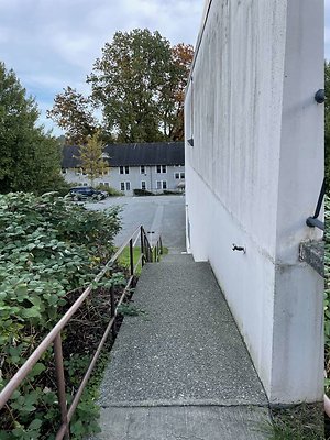 IMG 4131