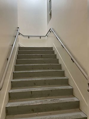 IMG 4877