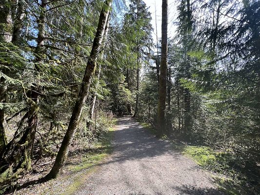 Maple Ridge - Kanaka Creek Falls