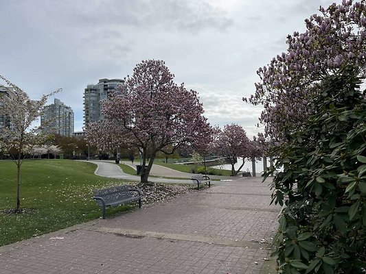 IMG 7453