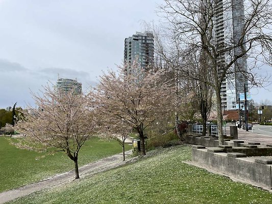 IMG 7482