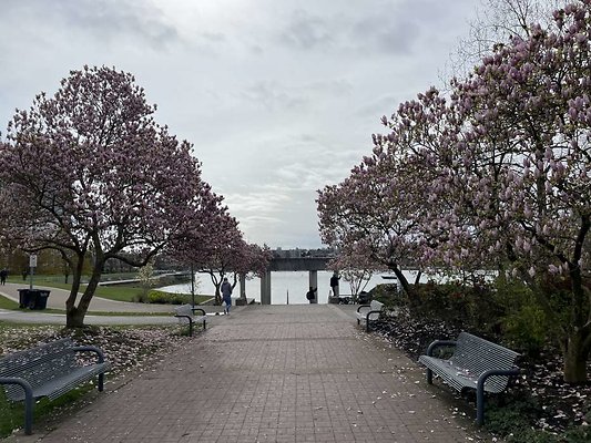 IMG 7455