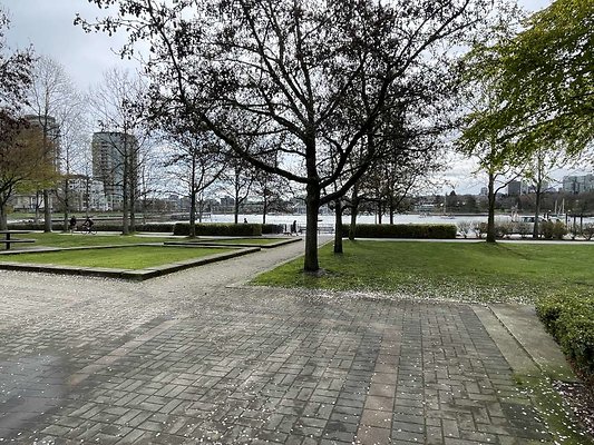 IMG 7419