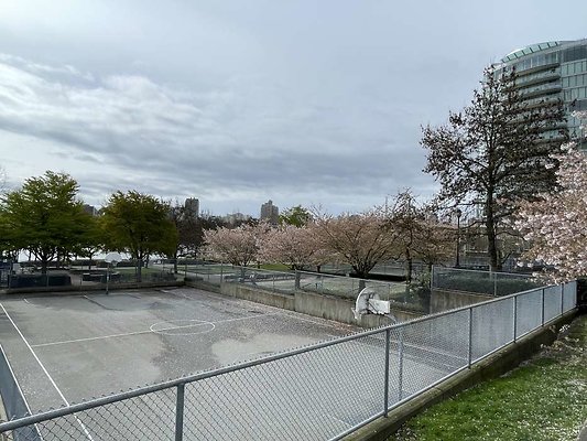 IMG 7406