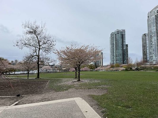IMG 7500